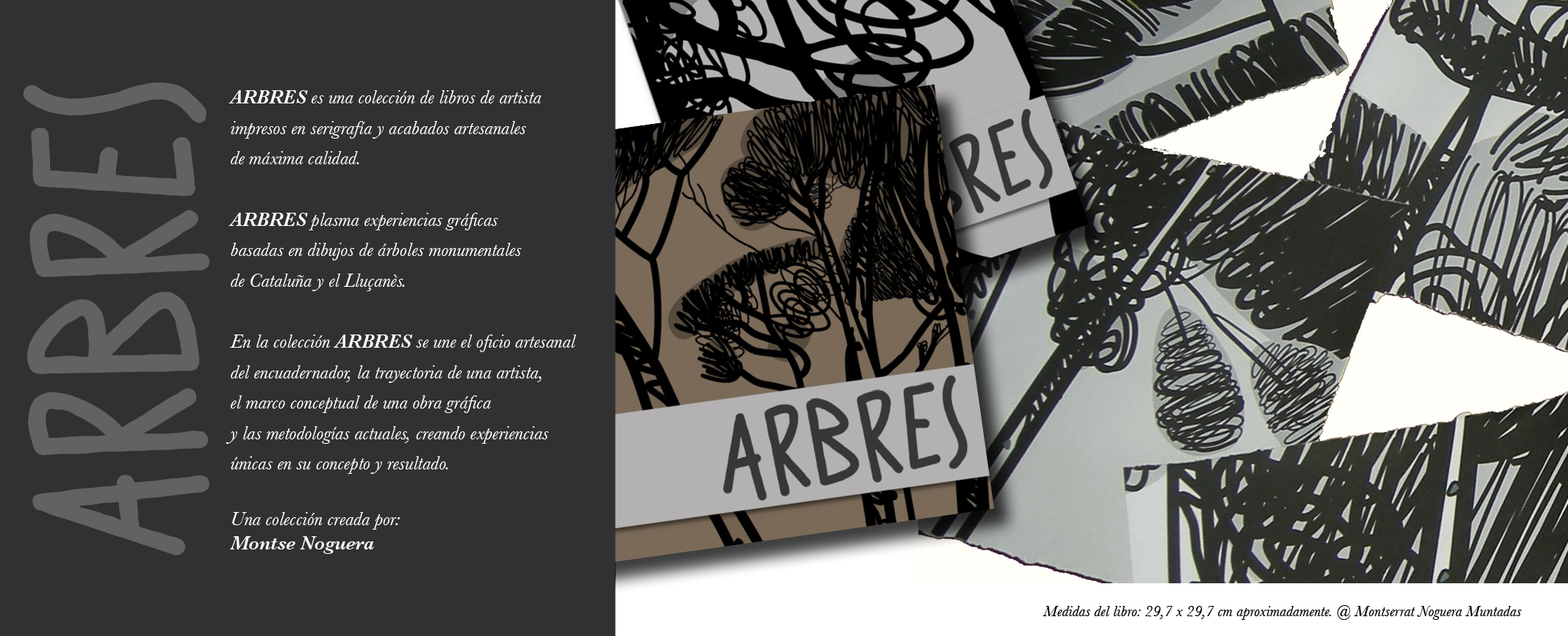 Artist Book by Montse Noguera